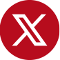 X-icon